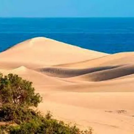 Dunas&sea *