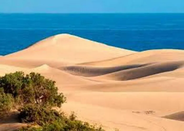 Dunas&sea *